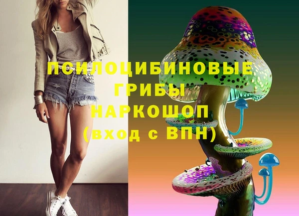 скорость Алзамай